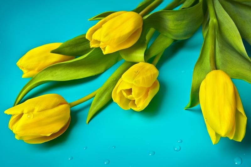 Що означає жовта квітка; фото: pixabay.com Що означає жовта квітка; фото: pixabay.com