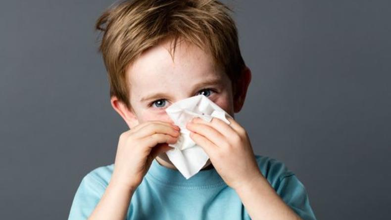 Весенняя аллергия: список опасных аллергенов, как распознать