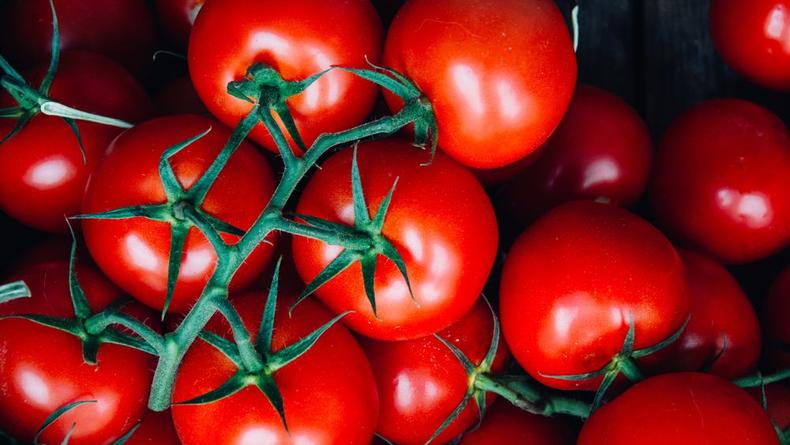 На каком расстоянии друг от друга высаживать помидоры в грунт: советы