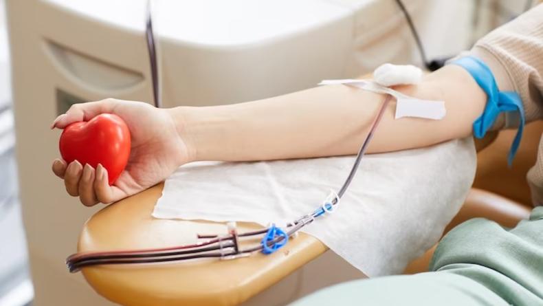 Как правильно сдавать кровь: памятка для донора