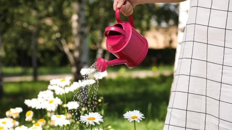 Как поливать сад и клумбы в жару: полезные советы и лайфхаки