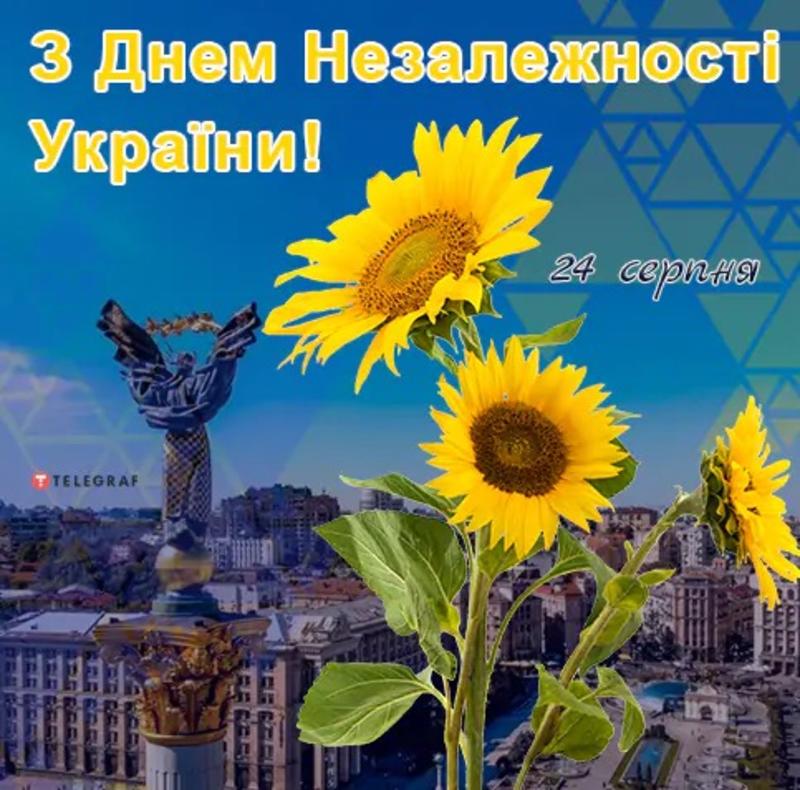 День Независимости Украины: открытки; фото: telegraf.com.ua День Независимости Украины: открытки; фото: telegraf.com.ua