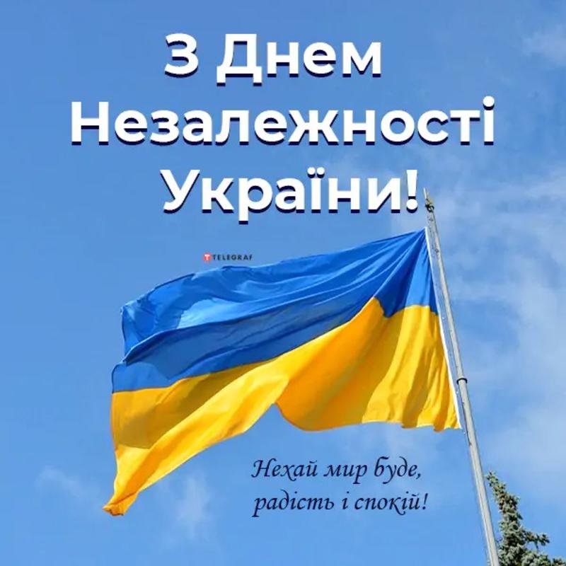 День Независимости Украины: открытки; фото: telegraf.com.ua День Независимости Украины: открытки; фото: telegraf.com.ua