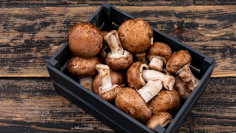 Что приготовить с грибами: осенние рецепты на любой вкус