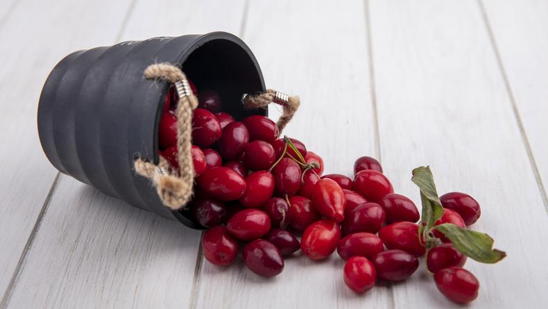 Кизил: польза для здоровья, что можно приготовить из ягоды