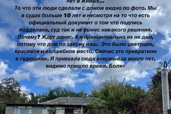 Димопулос показала дом, который незаконно отобрали у ее мамы Фото: instagram.com/santadimopulos