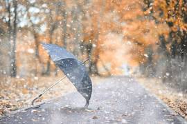 Когда выпадет первый снег: прогноз погоды на ноябрь 2023