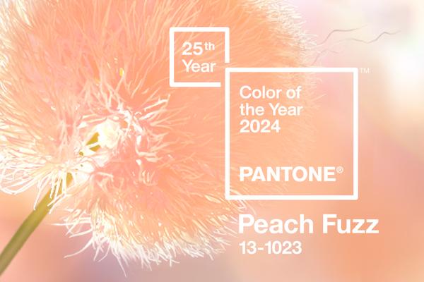 Peach Fuzz 13-1023 - головний колір 2024 року за версією Pantone