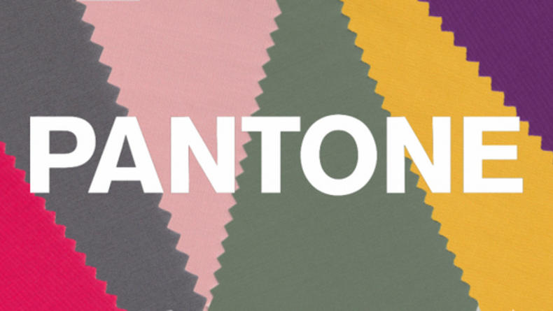 Дуже ніжний: Pantone назвав головний колір 2024 року