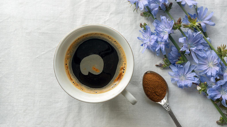Цикорий: польза и вред популярного заменителя кофе