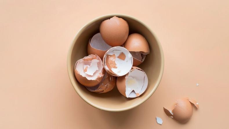 Яєчна шкаралупа: 4 способи її переробки та корисні властивості