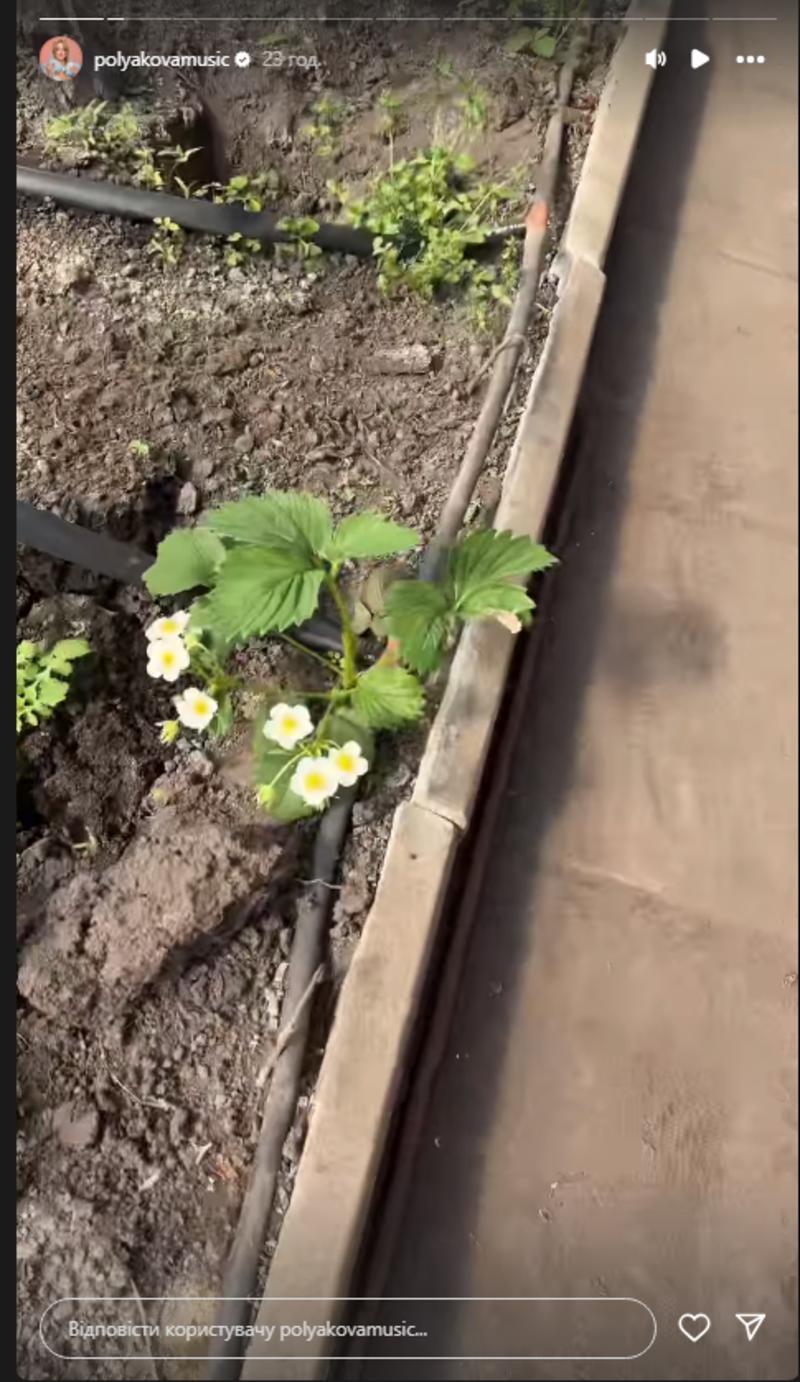 Полякова показала свій город instagram.com/polyakovamusic Полякова показала свій город instagram.com/polyakovamusic