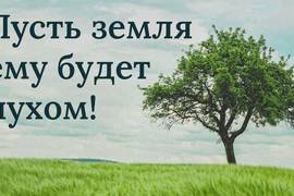 Почему нельзя говорить земля пухом: вы удивитесь