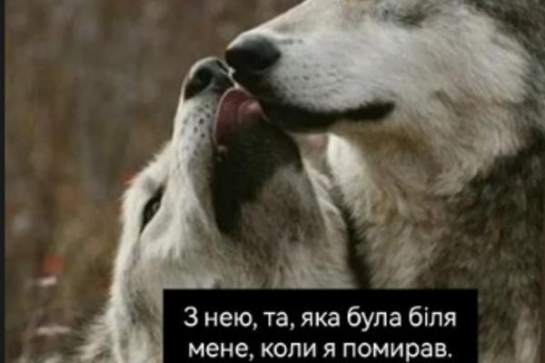 Узєлков розповів про кому instagram.com/uzelkov_official